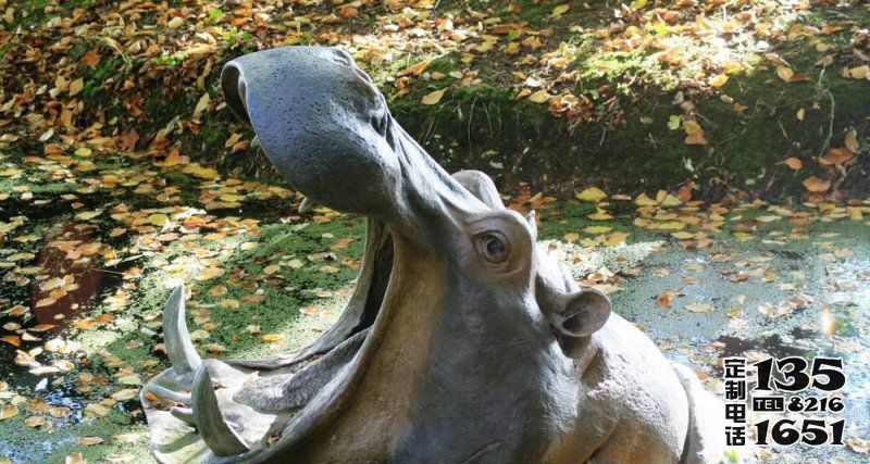 動(dòng)物園里擺放的張著大嘴的玻璃鋼仿真創(chuàng)意河馬雕塑 動(dòng)物園里擺放的張著大嘴的玻璃鋼仿真創(chuàng)意河馬雕塑