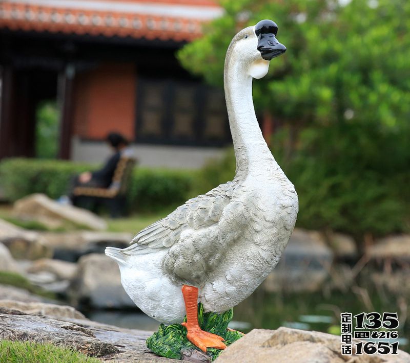 鄉(xiāng)村路上行走的玻璃鋼仿真天鵝雕塑 鄉(xiāng)村路上行走的玻璃鋼仿真天鵝雕塑