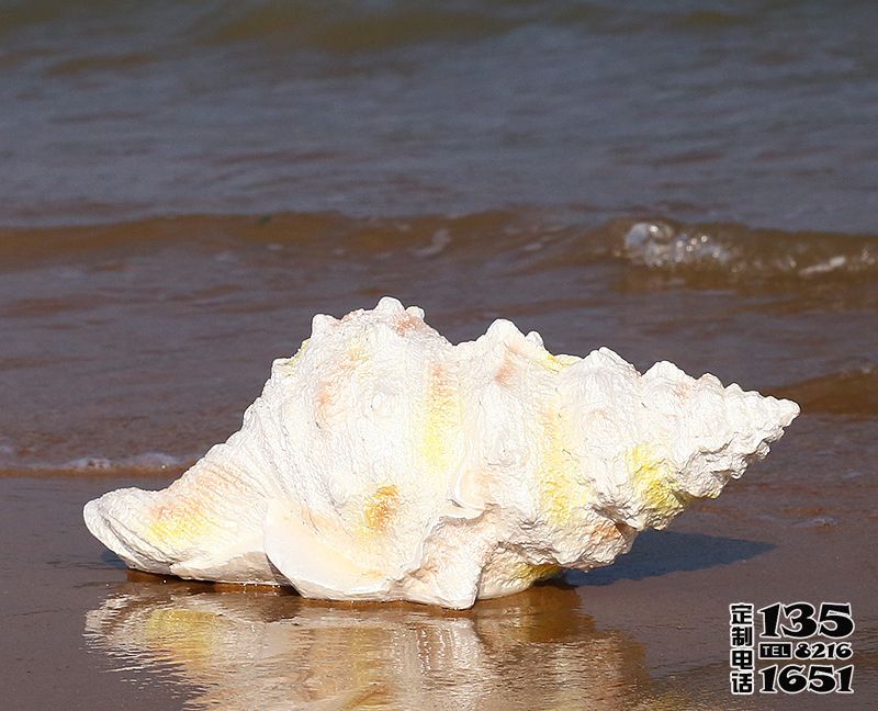 湖邊擺放的長行的玻璃鋼創(chuàng)意海螺雕塑 湖邊擺放的長行的玻璃鋼創(chuàng)意海螺雕塑